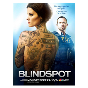Blindspot Seasons 1-3 DVD Box Set